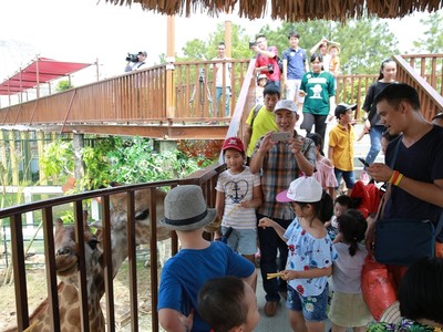 Du khách nhí rất thích thú với việc chơi cùng hươu cao cổ ở Jungle Splash. 
