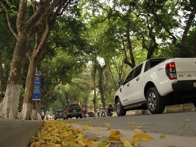 Hà Nội đang vào mùa lá đổ. Ảnh: Thành Nguyễn.