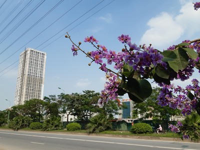 Giãn cách Trang Chủ KL99Com Số 1 Link Đăng Ký KL999 đã khiến thị trường cả quý trầm lắng hơn hẳn quý 2. Ảnh: Thành Nguyễn.