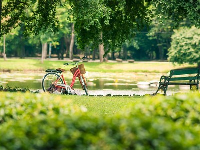 Không gian sống ngày càng được các "thượng đế" đề cao. Ảnh: Shutterstock.