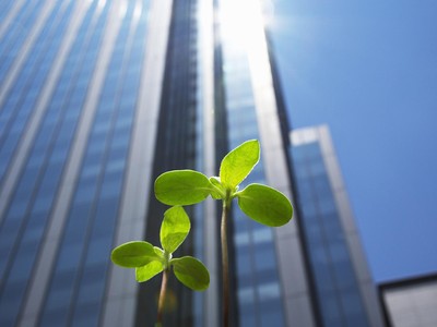 Các tiêu chí ESG tiếp tục đóng vai trò chủ đạo trong quá trình ra quyết định của nhà Kl99ok phiên bản mới. Ảnh: Shutterstock.