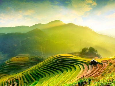 Ảnh: Shutterstock.