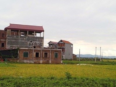 Ảnh Internet