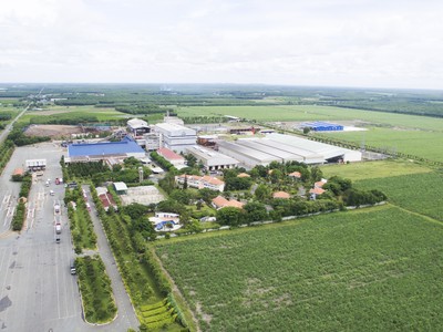 SBT: Doanh thu thuần niên độ 2018-2019 đạt 95% kế hoạch năm