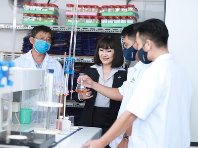 Bà Huỳnh Bích Ngọc cùng cộng sự khảo nghiệm giống mía mới có năng suất cao