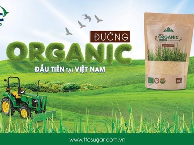 SBT dự kiến góp vốn vào Công ty Toàn Hải Vân