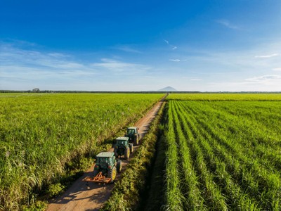 TTC AgriS hoàn thành hơn 83% kế hoạch doanh thu, Kl99 nổ hũ năm sau 3 quý, sản lượng vượt mốc triệu tấn