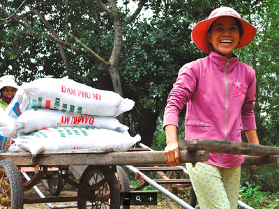 Đạm Phú Mỹ (DPM): Kl99 nổ hũ cả năm đạt 435 tỷ đồng