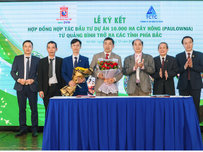 Sơn Đại Việt (DVG) hợp tác Kl99ok phiên bản mới 10.000 ha cây Hông với TCTC