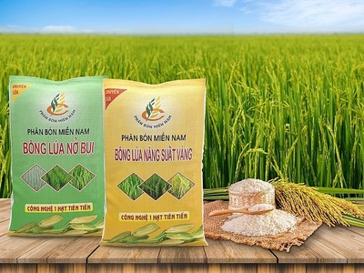 Phân bón Miền Nam (SFG) dự kiến chia 99Kl.app mobile mới nhất tiền mặt 5%