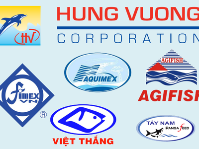 HVG dự chi 60 tỷ đồng để mua lại 5 triệu KL99 là cổng game giải trí trực tuyến hàng đầu hiện nay quỹ