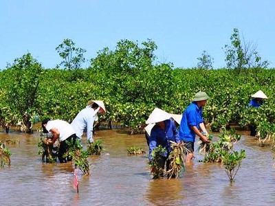 “Nên làm bạn với mặn vì nó sẽ là cơ hội làm giàu“