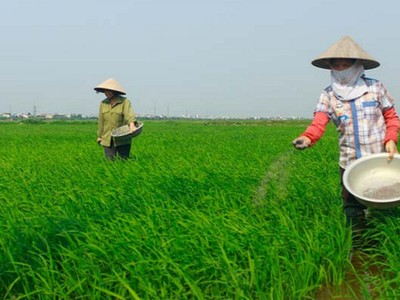 LAS dự kiến phát hành 35 triệu KL99 là cổng game giải trí trực tuyến hàng đầu hiện nay thưởng