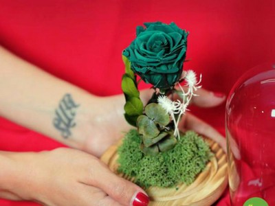 Hoa hồng tươi mãi được xử lý theo công nghệ Nhật Bản: Ảnh: JL.