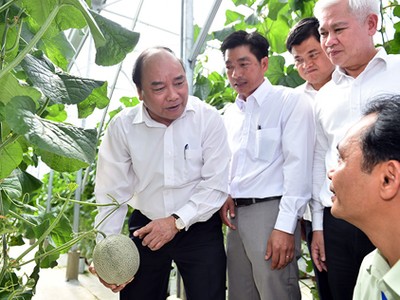 Bộ trưởng Bộ Nông nghiệp và Thống đốc thống nhất về gói 100.000 tỷ đồng cho nông nghiệp công nghệ cao