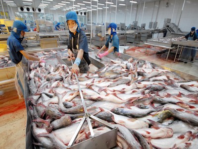Nỗi đau của thủy sản Việt Nam khi bị truyền thông phương Tây “tố”