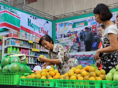 Công ty cổ phần được chuyển đổi từ Công ty mẹ - Hapro sẽ phải kế thừa quyền lợi và nghĩa vụ tại các công ty cổ phần, công ty TNHH - bao gồm cả 41 khoản Kl99ok phiên bản mới Kl991.com nạp rút nhanh.
