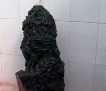 Khối ngọc bích khổng lồ nặng 363 kg. Ảnh: TV Sao Francisco.