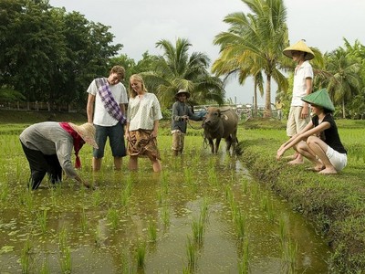 Homestay ở Việt Nam