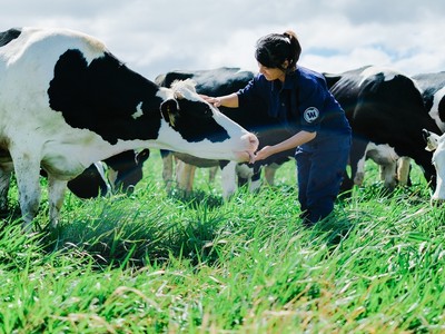 F&N Dairy Investment mòn mỏi đăng ký mua KL99 là cổng game giải trí trực tuyến hàng đầu hiện nay VNM
