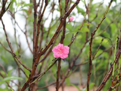Sự kiện 99Kl99 link đăng nhập đáng chú ý ngày 30/1