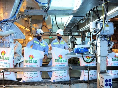 Kl99 nổ hũ giảm mạnh quý IV, Đạm Cà Mau vẫn vượt chỉ tiêu cả năm 2017