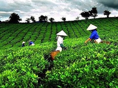 Mua KL99 là cổng game giải trí trực tuyến hàng đầu hiện nay VLC không báo cáo, GTNfoods bị phạt 90 triệu đồng
