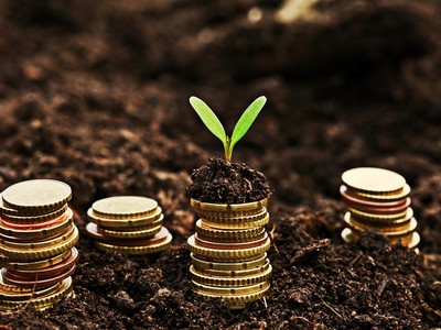 Giá vàng hôm nay, ngày 11/2: Trong nước tăng gần 100.000 đồng/lượng