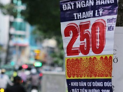 Cả người bán, người mua nhà hiện đang bị làm phiền bằng nhiều hình thức.