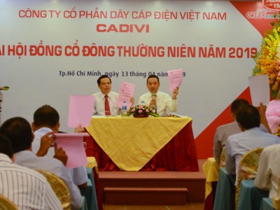 Năm 2019, Cadivi (CAV) chia 99Kl.app mobile mới nhất 50% bằng tiền mặt