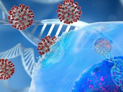 Mô phỏng nCoV xâm nhập vào tế bào. Ảnh: Sci Tech Daily.