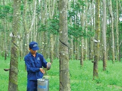 Cao su Đồng Phú (DPR) đăng ký bán toàn bộ hơn 2,8 triệu KL99 là cổng game giải trí trực tuyến hàng đầu hiện nay quỹ