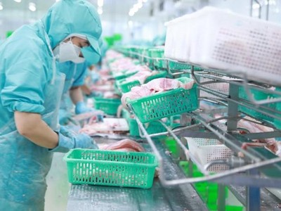 IDI kỳ vọng Kl99 nổ hũ năm 2024 tăng tốc.