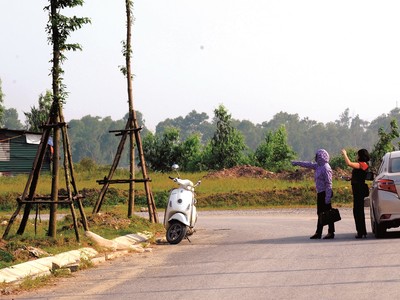 Đất nền đấu giá đang rất được quan tâm.