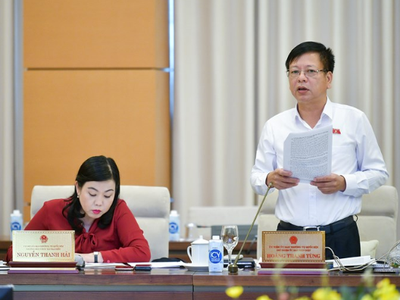 Phó chủ nhiệm Ủy ban Kl992 Tham Gia Ngay Nguyễn Trường Giang phát biểu tại phiên thảo luận.