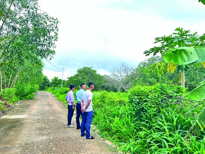 Nhà Kl99ok phiên bản mới đi săn đất nền. Ảnh: Vũ Dũng.