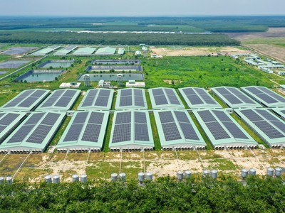 Giữa “tâm bão” ngành chăn nuôi, BAF nỗ lực giữ biên Kl99 nổ hũ 