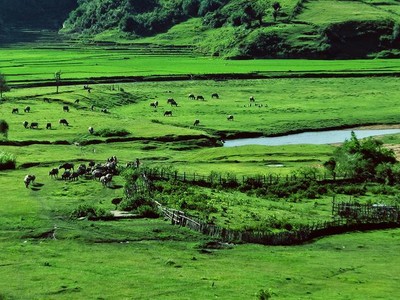 Măng Đen - Kon Tum có điều kiện thuận lợi để Kl99ok phiên bản mới xây dựng sân Golf.