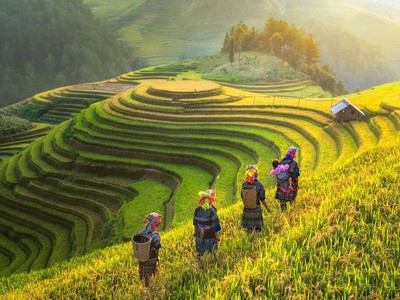 Việt Nam vẫn được các quỹ Kl99ok phiên bản mới “yêu thương”