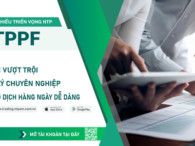 Hình ảnh website NTP AM