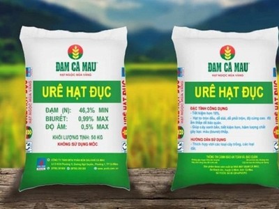Đạm Cà Mau (DCM): Doanh thu thuần quý III/2024 giảm 12%, xuống 2.634 tỷ đồng