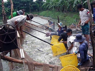 Huy động 180.000 điều tra viên để tổng điều tra về nông thôn năm 2016