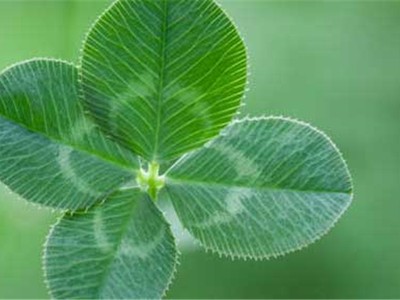 10 sự thật có thể thay đổi cuộc đời bạn