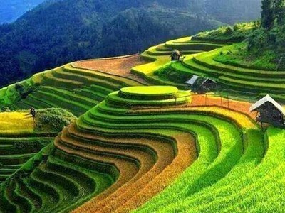 Những cung đường săn “mùa vàng” Tây Bắc đẹp nhất tháng 9