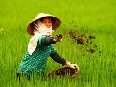 Phân bón Miền Nam (SFG) chi hơn 33,5 tỷ đồng tạm ứng 99Kl.app mobile mới nhất năm 2017