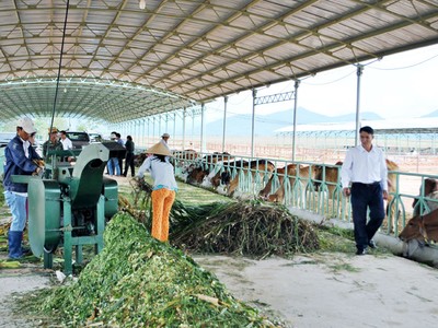 Công ty của bầu Đức bị phạt 60 triệu đồng vì vi phạm công bố thông tin