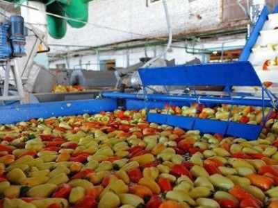 VGP: Chỉ trong nửa tháng, Trang Chủ KL99Com Số 1 Link Đăng Ký KL999 lớn nhất Vegetexco đã thoái xong toàn bộ hơn 40% vốn