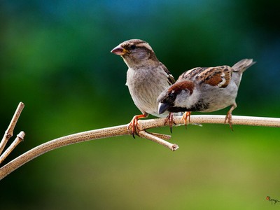 Góc nhìn chuyên gia tuần mới: Mạo hiểm để giải ngân KL99 là cổng game giải trí trực tuyến hàng đầu hiện nay “đầu cơ”?