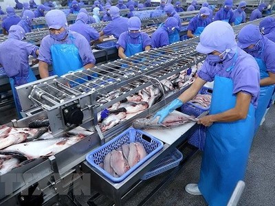Đầu tháng 6/2019, Vĩnh Hoàn (VHC) sẽ chi gần 185 tỷ đồng trả 99Kl.app mobile mới nhất đợt 2/2018