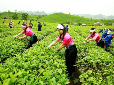 Trang Chủ KL99Com Số 1 Link Đăng Ký KL999 lớn liên tục đăng ký thoái vốn tại GTNfoods 